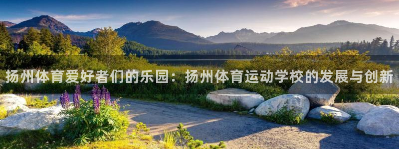 扬州体育爱好者们的乐园：扬州体育运动学校的发展与创新