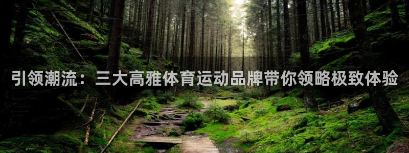 引领潮流：三大高雅体育运动品牌带你领略极致体验