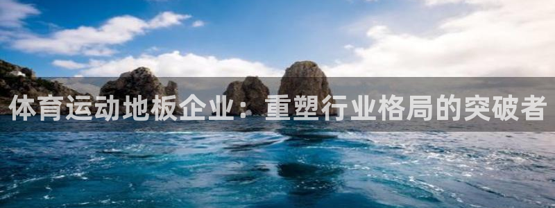 体育运动地板企业：重塑行业格局的突破者