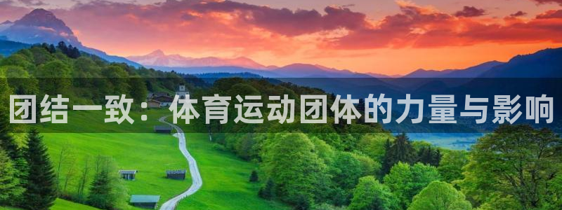 团结一致：体育运动团体的力量与影响