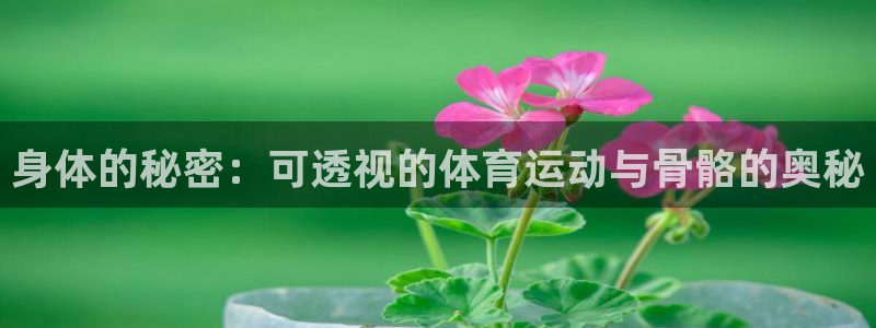 身体的秘密：可透视的体育运动与骨骼的奥秘