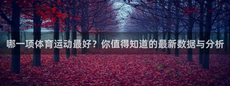 哪一项体育运动最好？你值得知道的最新数据与分析