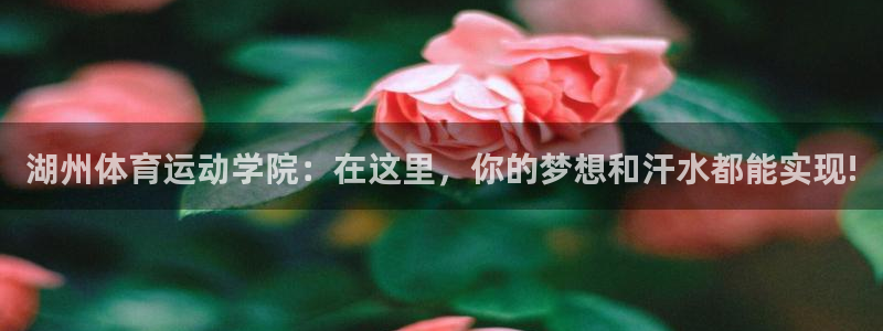 湖州体育运动学院：在这里，你的梦想和汗水都能实现!
