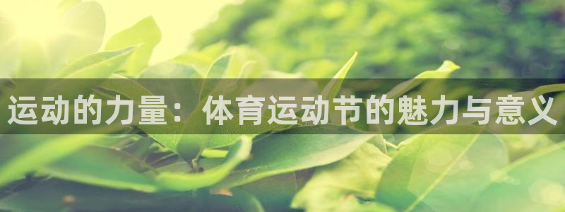运动的力量：体育运动节的魅力与意义