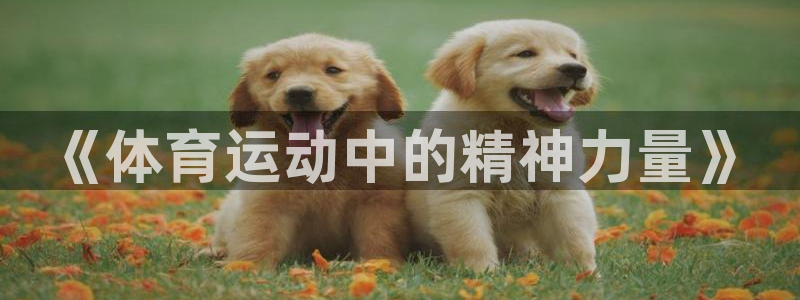 《体育运动中的精神力量》