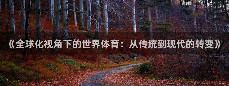 《全球化视角下的世界体育：从传统到现代的转变》