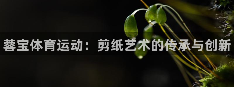 蓉宝体育运动：剪纸艺术的传承与创新
