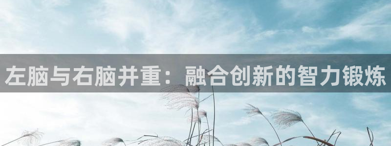 左脑与右脑并重：融合创新的智力锻炼
