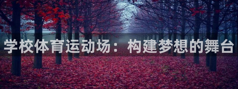 学校体育运动场：构建梦想的舞台