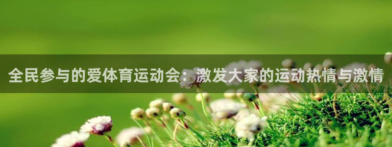 全民参与的爱体育运动会：激发大家的运动热情与激情